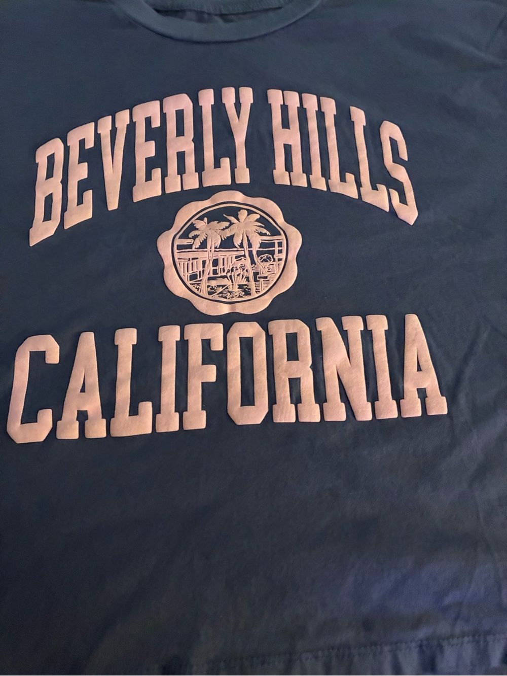 Organic Collective Generation Cotton Crop T Camp Beverly Hills blue/purple